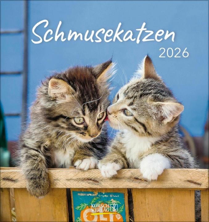 Produktbild Schmusekatzen 2026