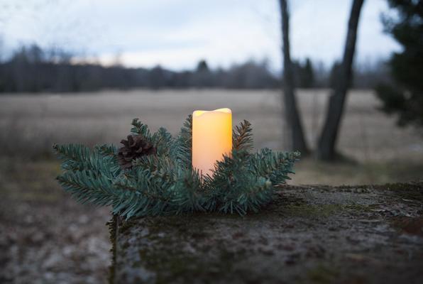 Produktbild Star Trading Serene (1x)