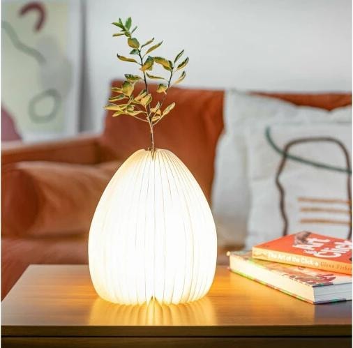 Image du produit Gingko Smart Vase