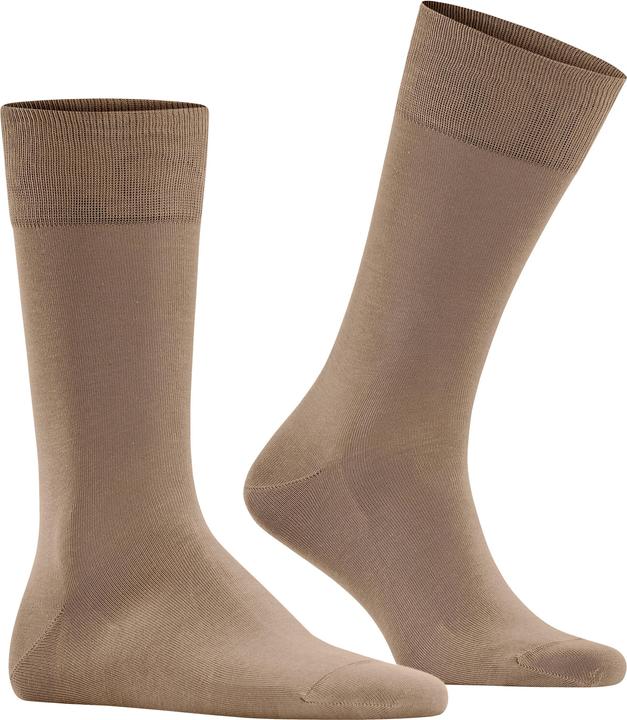 5038 camel