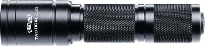 Image du produit Walther Torche Tactique 250 (12 cm, 250 lm)