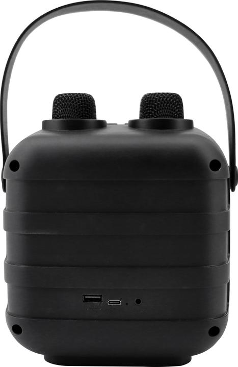 Actual product image Soundmaster BT2024SW Karaoke system Incl. microphone, rechargeable Black (Electrical connection)
