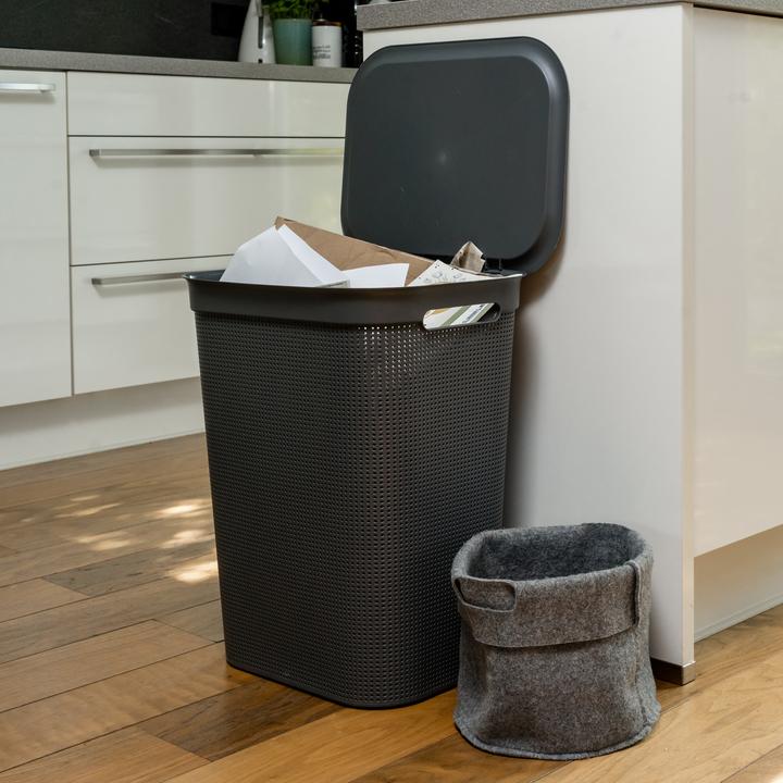 Immagine prodotto Rotho Breezes 1 (50 l)