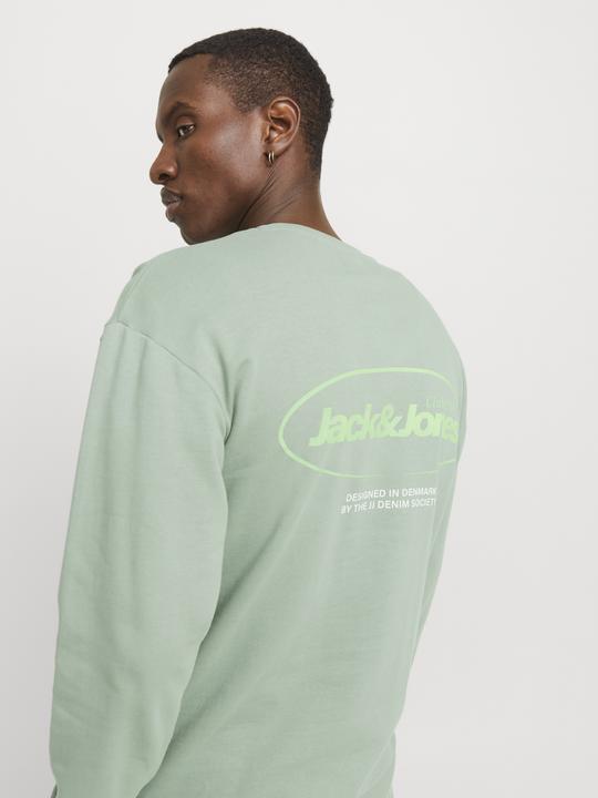 Actual product image Jack & Jones Jjebradley Graphic Sweat Crew Noos (XS)