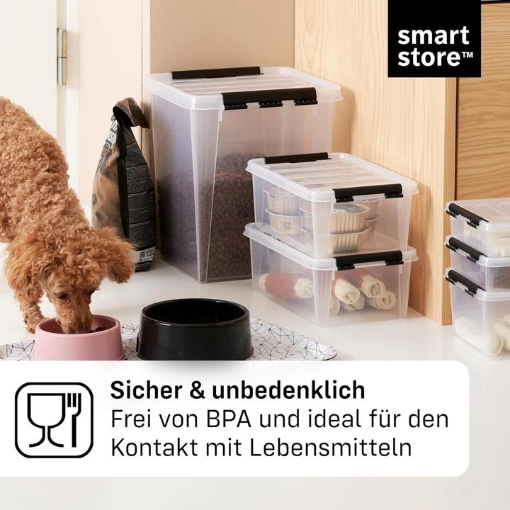 Actual product image Smartstore Transparent Storage Boxes with Lids (30 cm, 14 l, 10x)