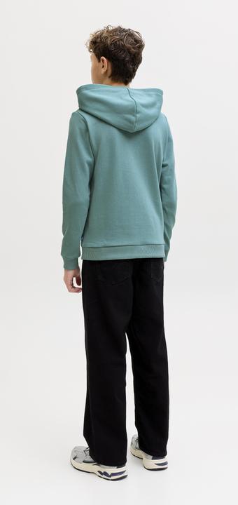 Produktbild Jack & Jones Jjebradley Sweat Hood Noos Jnr (128)