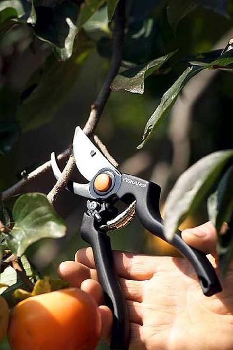 Immagine prodotto Fiskars Cesoie da giardino Bypass Pro 111960