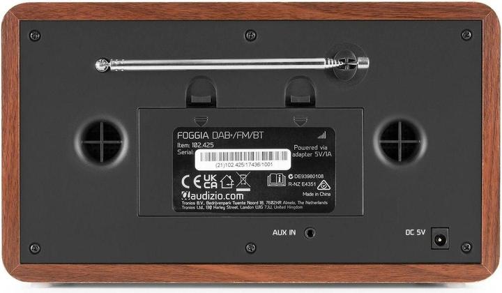 Actual product image Audizio Foggia (FM, DAB+, Bluetooth)
