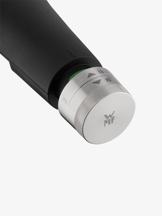 Actual product image WMF Perfect Premium (22 cm, Steam cooker, Stainless steel)