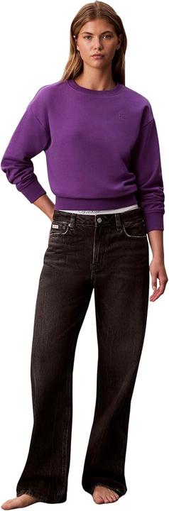 Produktbild Calvin Klein Jeans Ls Archive Logo French Terry Rlx (M)