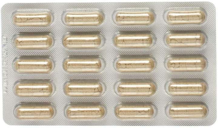 Actual product image Alpinamed Green-lipped mussel (120 Piece, Capsules, 100 g)