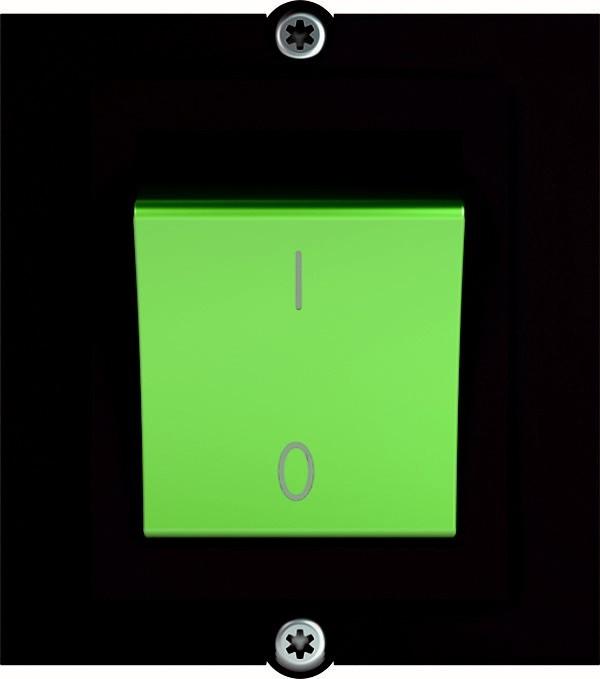 Produktbild Bachmann Custom Modul 2-Polig Schalter grün beleuchtet (1 m)