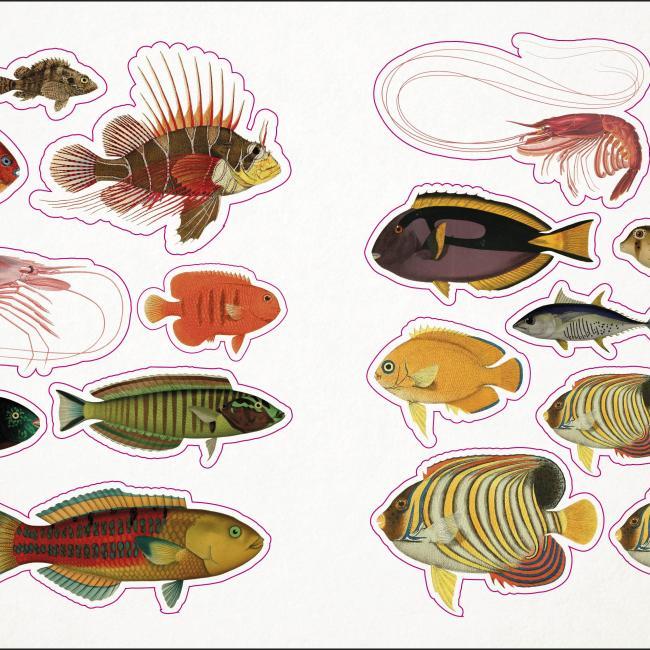 Produktbild The Seashore Sticker Anthology