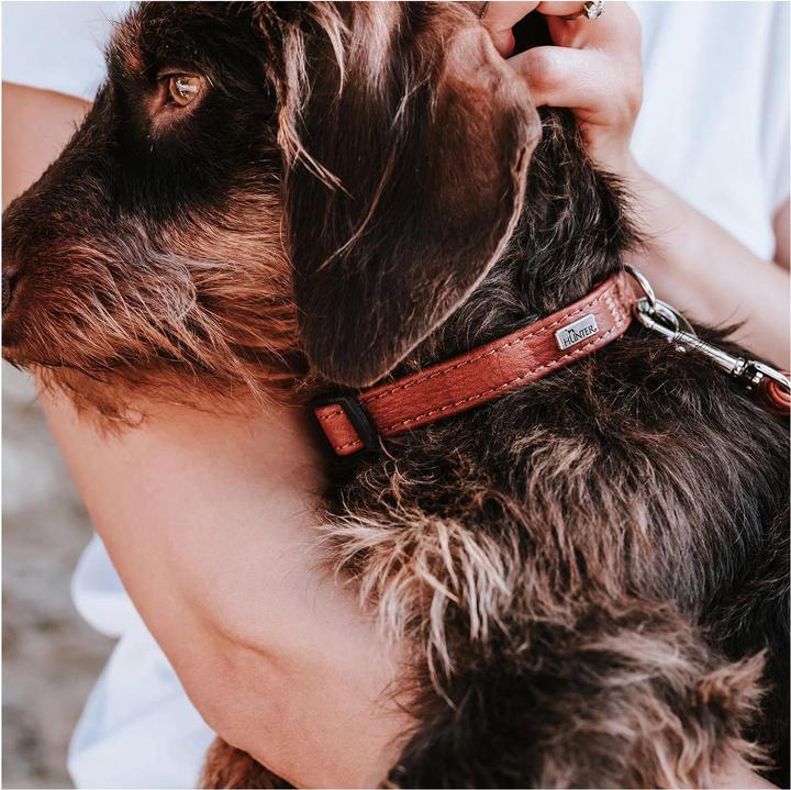Actual product image Hunter Canadian Up for dogs Cognac S/2 (2, S, Dog, General)