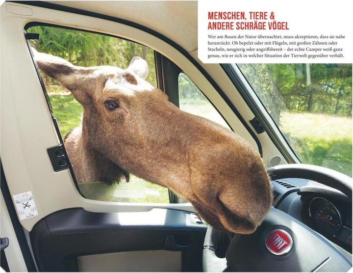 Camping für Unerschrockene (Deutsch, Jens Bey, 2021)