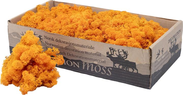Produktbild Flowerbox Islandmoos