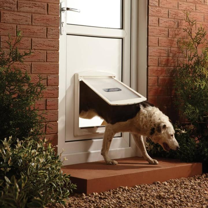 Image du produit PetSafe Staywell (Chatière manuelle)