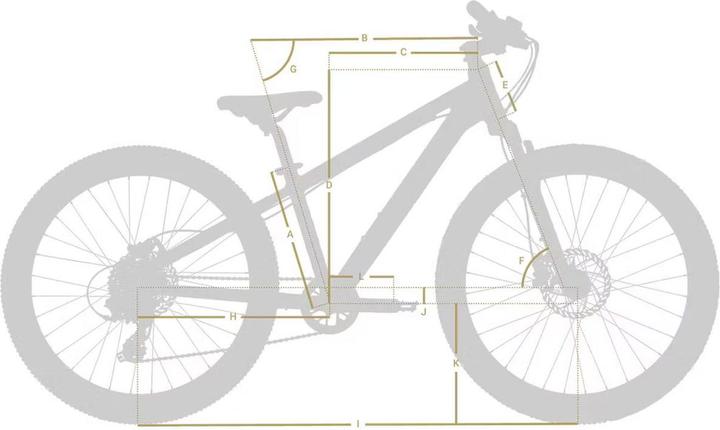 Produktbild Eightshot X-COADY 20 FS (20")