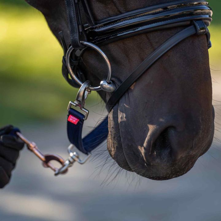 Produktbild Imperial Riding Gebissring für Nylon-Longe