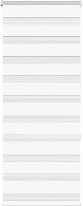 Produktbild vidaXL Zebra-Jalousie (65 x 150 cm)