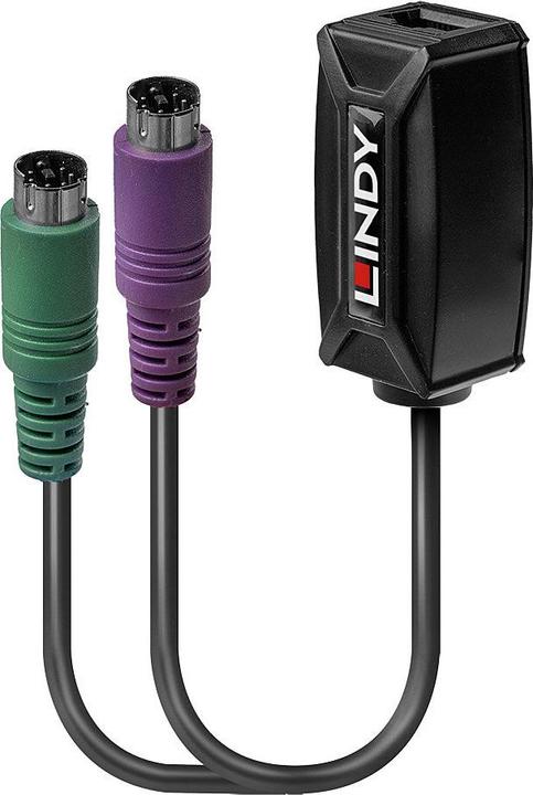 Actual product image Lindy PS/2 — RJ45