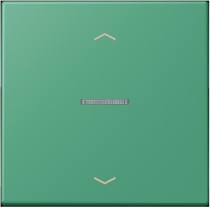 Actual product image JUNG Rocker