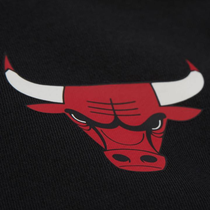 Produktbild Mitchell & Ness Fleece Pullover Chicago Bulls - L (L)