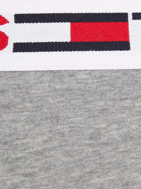 Image du produit Tommy Hilfiger Tronc UM0UM02401 P4A XL (XL)