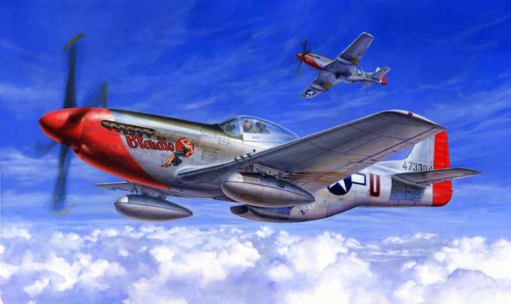 Actual product image Tamiya P-51D Mustang