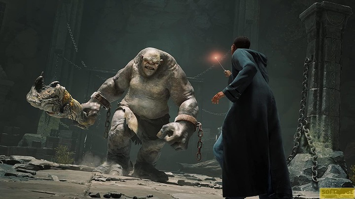 Produktbild WB Hogwarts Legacy (PS4, DE)