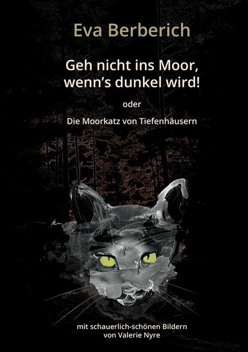 Produktbild Geh nicht ins Moor, wenn's dunkel wird! (Deutsch, 2016)