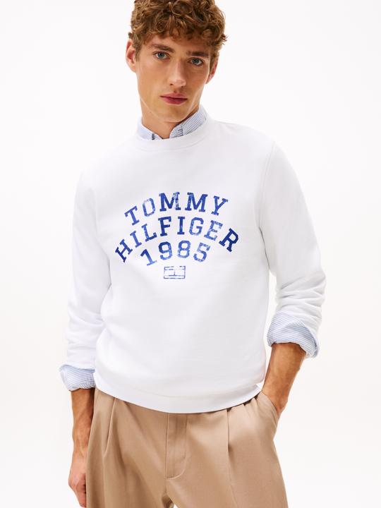 Actual product image Tommy Hilfiger Hilfiger Arch Sweatshirt (M)