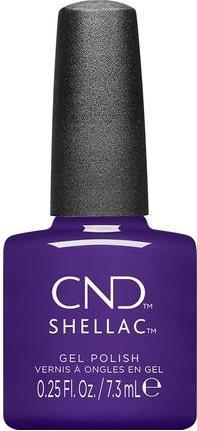 Battle Royal No. 484 Purple