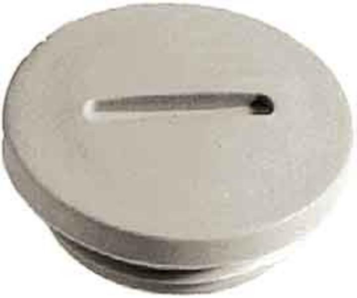 Grau ral 7035