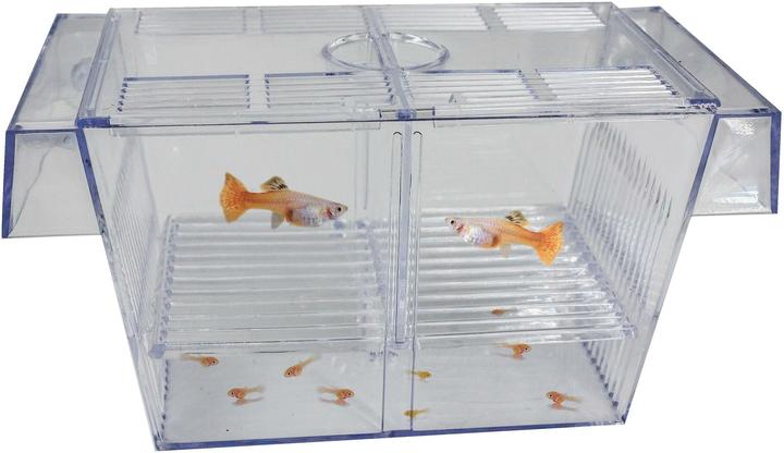 Produktbild SuperFish Schwimmendes Aufzuchtbecken (Aquarium Reinigung)