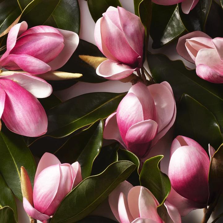 Actual product image Ralph Lauren Ralph (Eau de toilette, 100 ml)