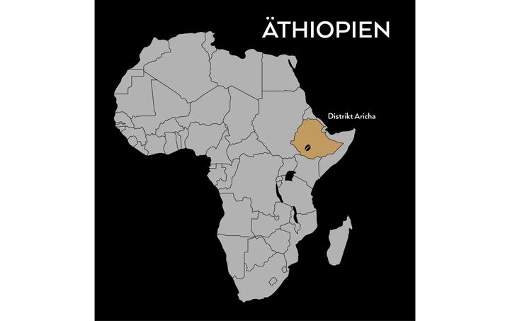 Actual product image Turm Kaffee Bio&Fair Ethiopia Sidamo (250 g, Medium roast)