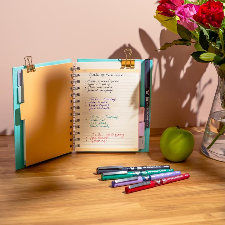 Actual product image Pilot V5 (Black, 1 x)