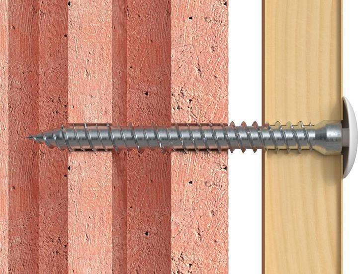 Image du produit Fischer 532913 (100 Vis par pièce)