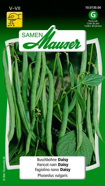 Produktbild Samen Mauser Buschbohne Daisy (Gemüsesamen)