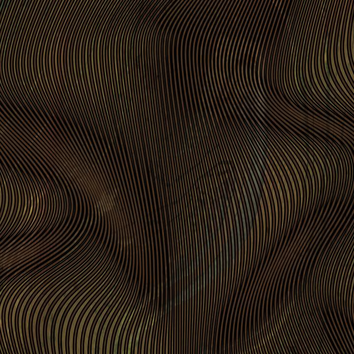 Actual product image Seac Jacket Alga Brown Men 3 mm S (3 mm, S)