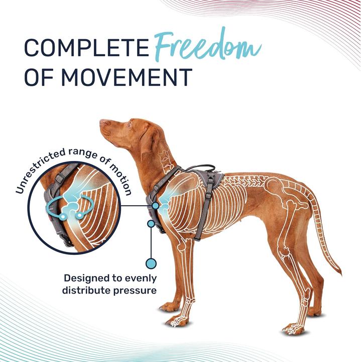 Produktbild Company of Animals Halti Anatomy M Hundegeschirr (M, Hund, Allgemein)