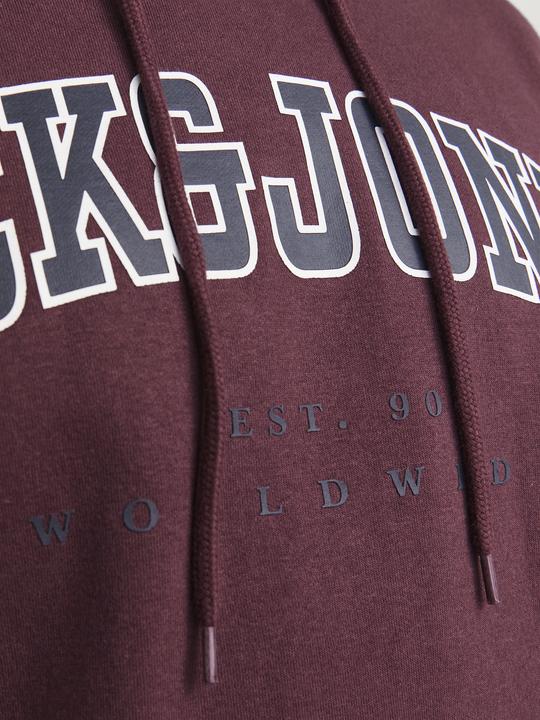 Image du produit Jack & Jones Jjecaleb Varsity Sweat Hood Noos Pls (4XL)