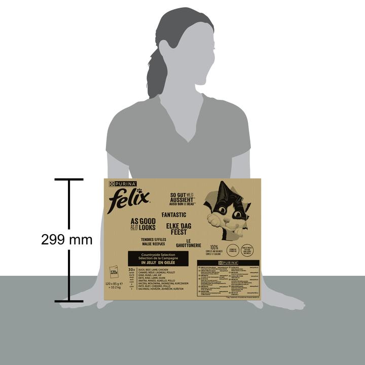 Actual product image Felix As good as it looks (Adult, 10200 g)