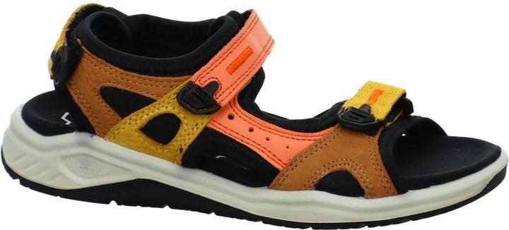 corallo multicolore