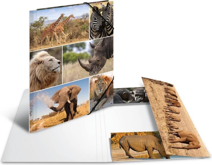 Produktbild HERMA Sammelmappe A4 Motiv (A4, 1x)