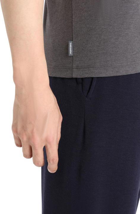 Image du produit Icebreaker Tee Mérino Central Classic SS (XS)