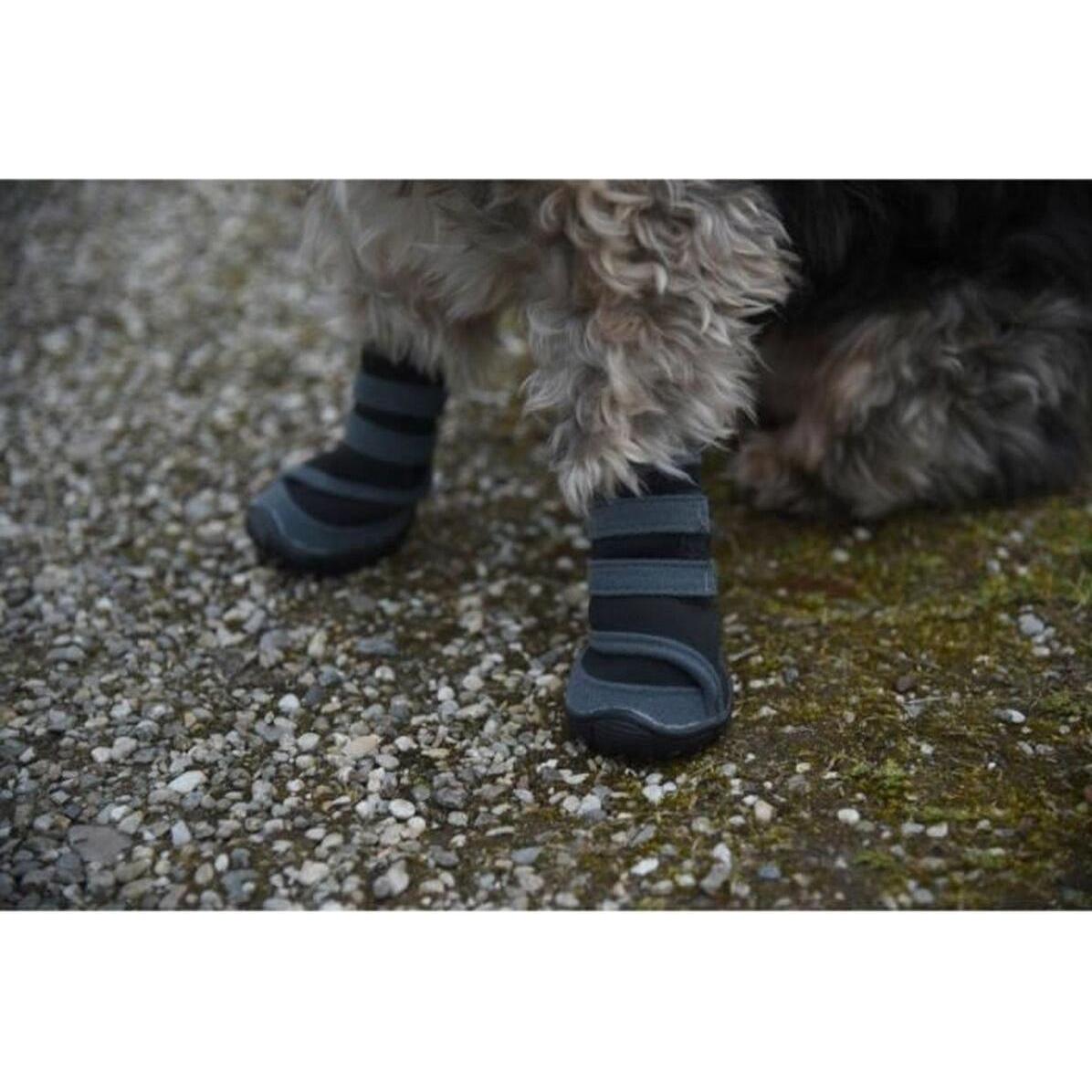 Kerbl Active (Chien), Produits de soins pour animaux