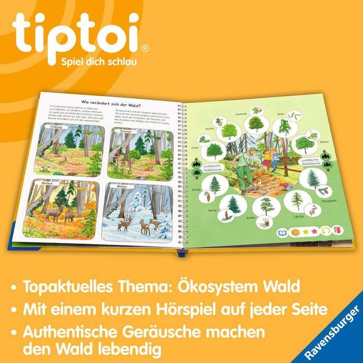 Actual product image tiptoi Wieso? Weshalb? Warum? Unser Wald (German, Kerstin M. Guilt, Patricia Mennen, 2023)