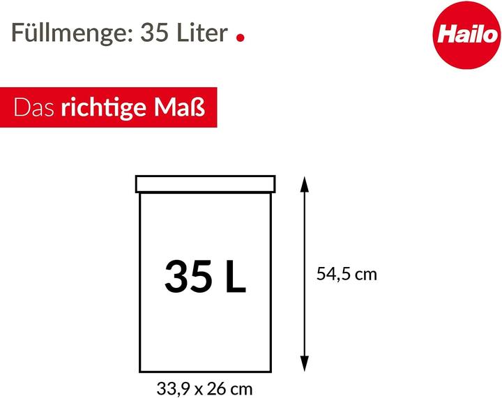 Image du produit Hailo Big-Box Swing (40 l)